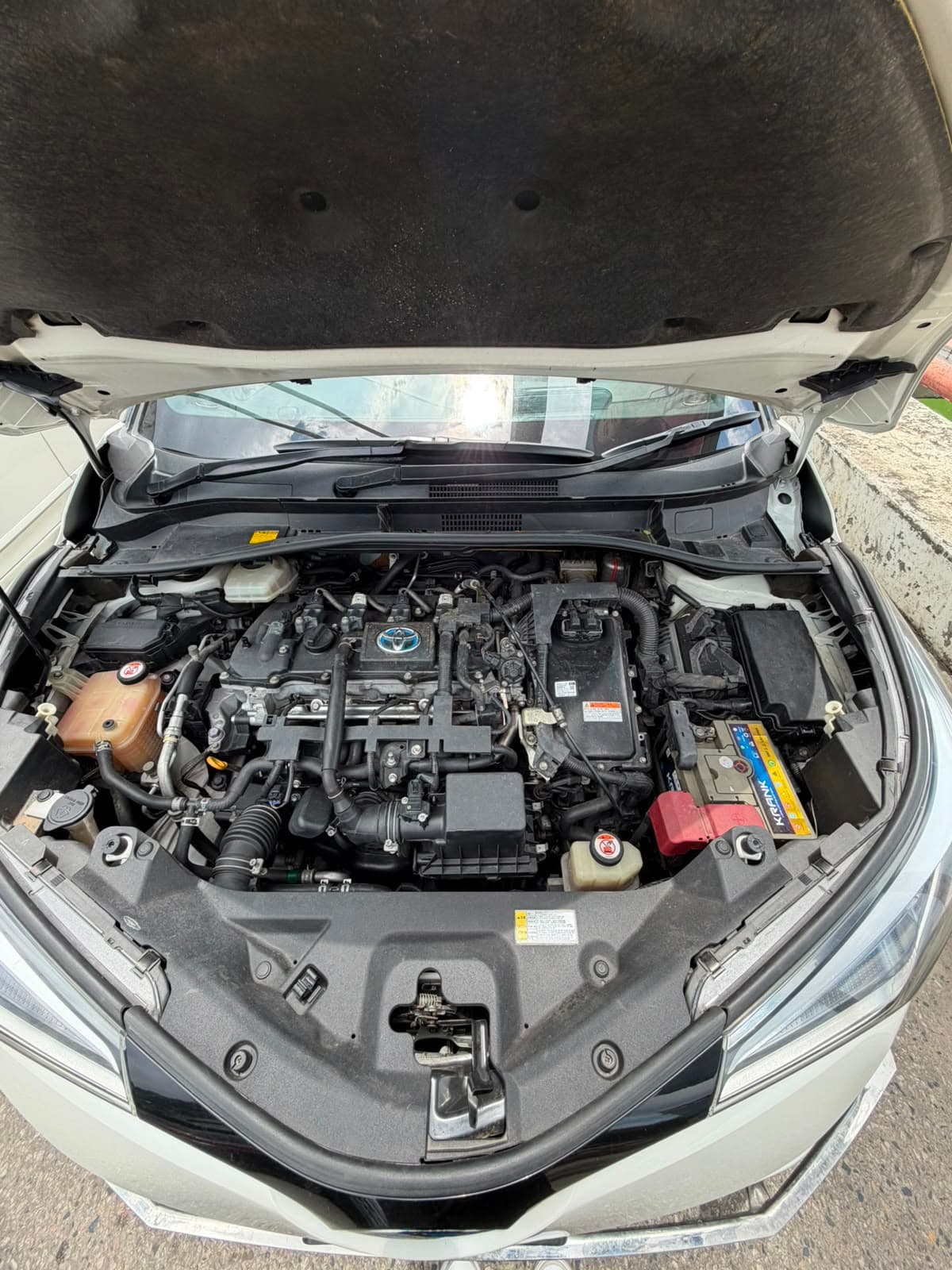 Toyota CHR Hybrid 2017 Dual Tone view 3